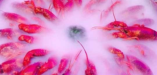 如何選擇山西高純氣體管道配管及附件材料？